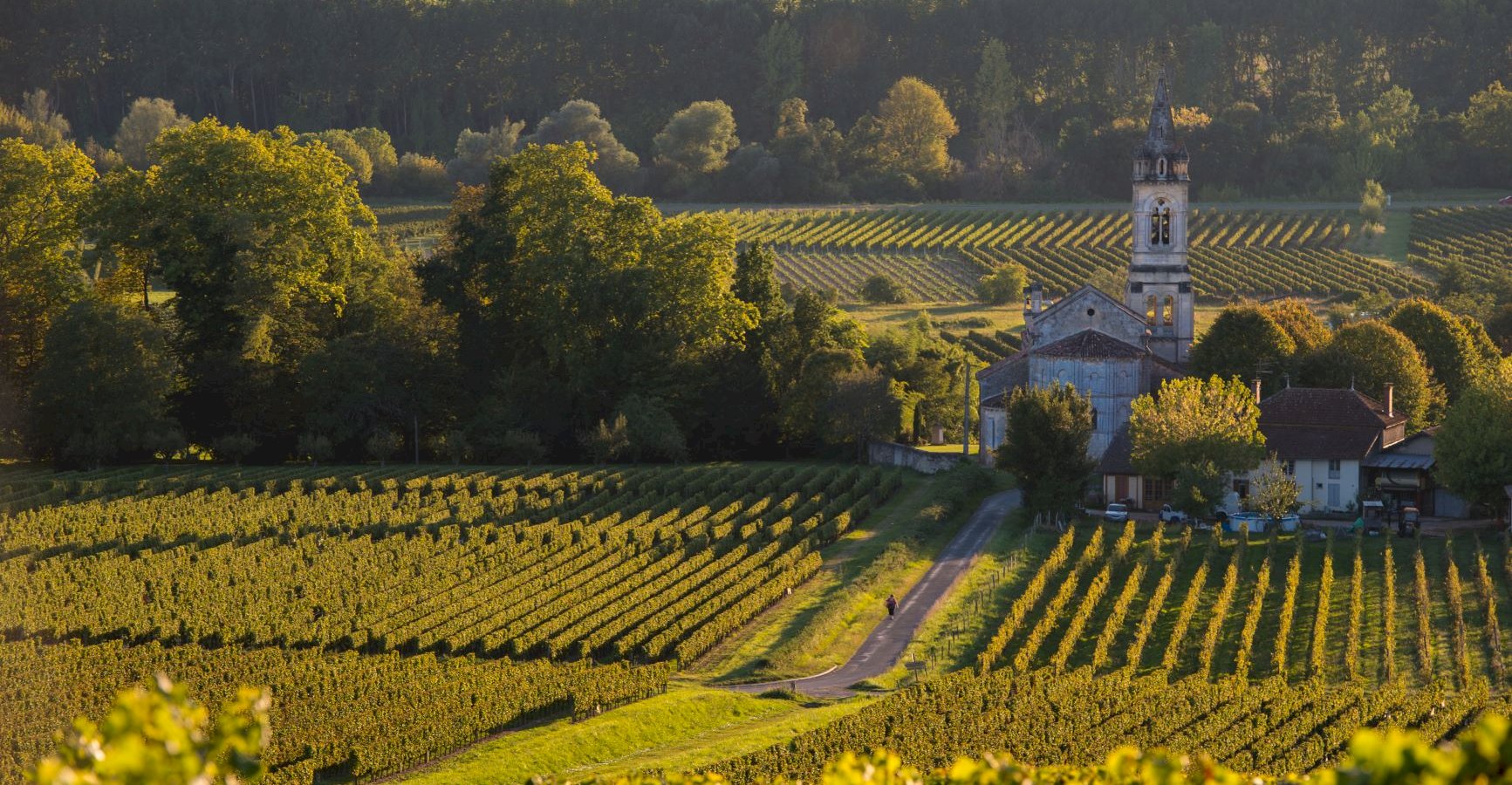 Ophorus Tours - The Bordeaux Wine Explorer: Private Saint-Emilion Tour to Graves & Sauternes