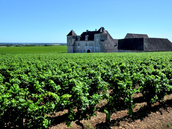 Ophorus Tours - 4-Day Private Burgundy Wine Tours Package - Beaune - 5* Hotel