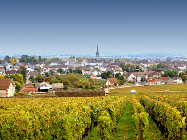 Ophorus Tours - 4-Day Private Burgundy Wine Tours Package - Beaune - 5* Hotel
