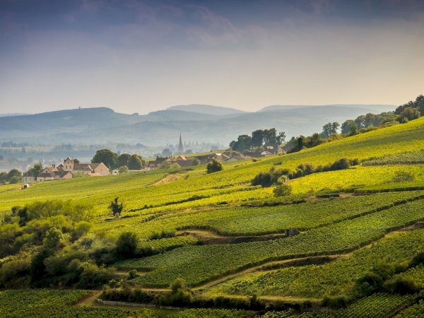 Ophorus Tours - 4-Day Private Burgundy Wine Tours Package - Beaune - 5* Hotel