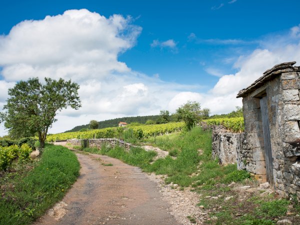 Ophorus Tours - 4-Day Private Burgundy Wine Tours Package - Beaune - 5* Hotel