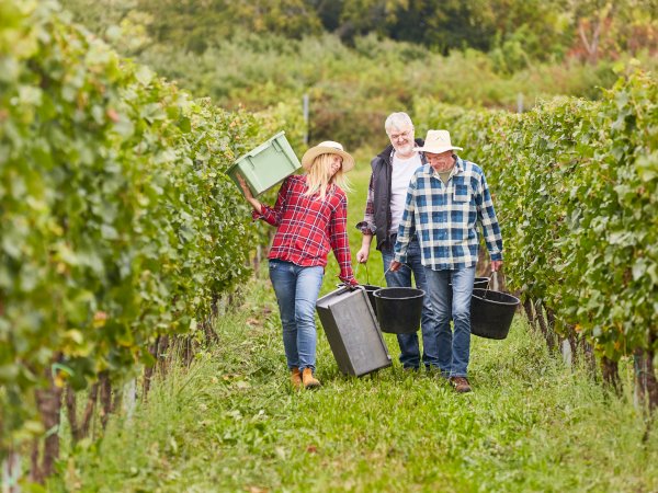 Ophorus Tours - Secrets of Bonaguil Castle & Malbec Wines: Private Tour from Sarlat