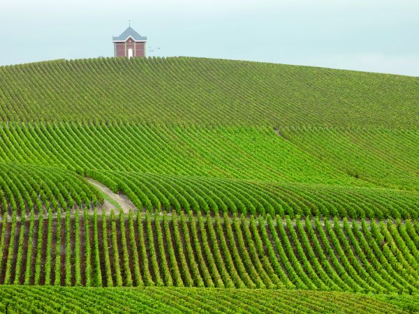 Ophorus Tours - Paris Helicopter Tour to Champagne Wine Region including Lunch