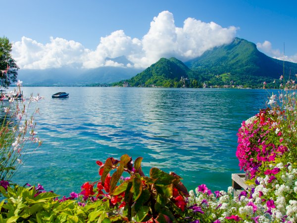 Ophorus Tours - Private Walking Tour Annecy: Explore the Hidden Gems
