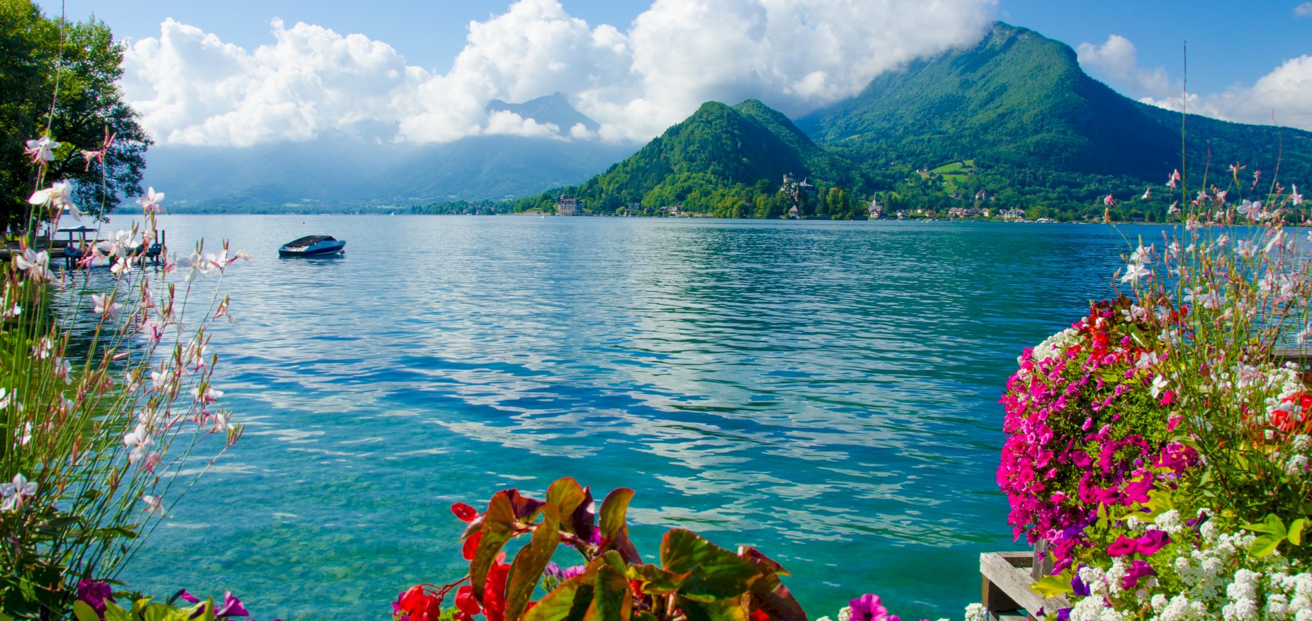 Ophorus Tours - Private Walking Tour Annecy: Explore the Hidden Gems