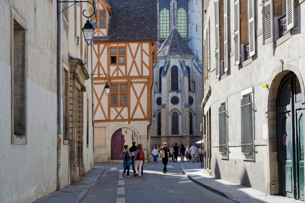 Ophorus Tours - Explore Dijon's Medieval Streets & Must-See Sights: Private Walking Tour