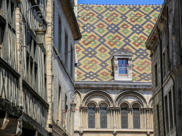 Ophorus Tours - Explore Dijon's Medieval Streets & Must-See Sights: Private Walking Tour