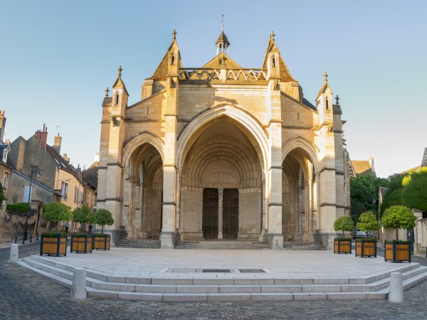 Ophorus Tours - Explore Dijon's Medieval Streets & Must-See Sights: Private Walking Tour