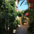 Village stroll in Cassis