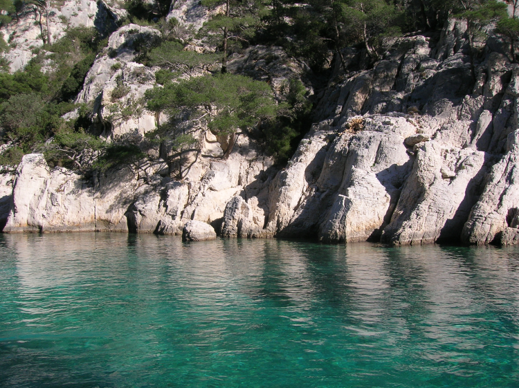 Ophorus Tours - Unforgettable Marseille Shore Trip: Cassis village & Calanques Boat Tour