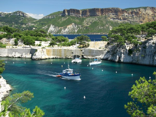 Ophorus Tours - Unforgettable Shore Trip: Cassis Calanques & Provence Wine Tour