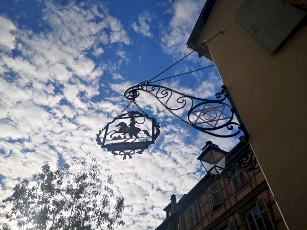 Ophorus Tours - Medieval Villages & Wine: Alsace Highlights Private Tour by train from Paris