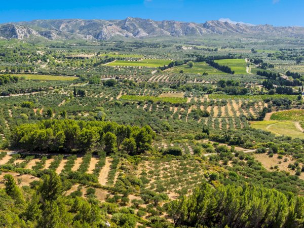 Ophorus Tours - Avignon Private Transfer to Les Baux-de-Provence