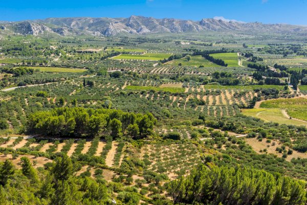Ophorus Tours - Avignon Private Transfer to Les Baux-de-Provence